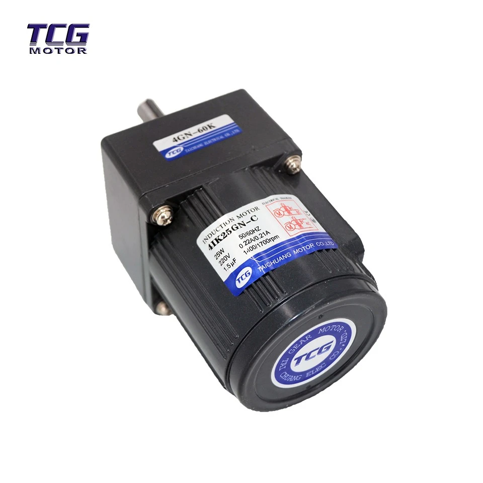 110V AC Gear Motor best